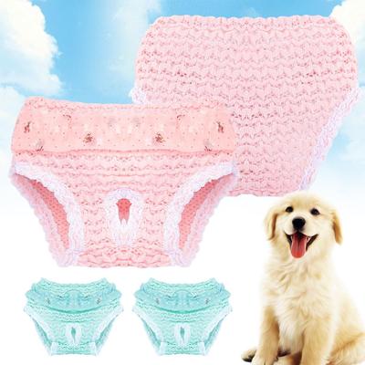 Giyim ve ayakkabı – Köpek Şortları