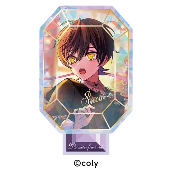 

Обещание Голографический Акриловый Стенд Самоцвет Снежный Волшебник 5.