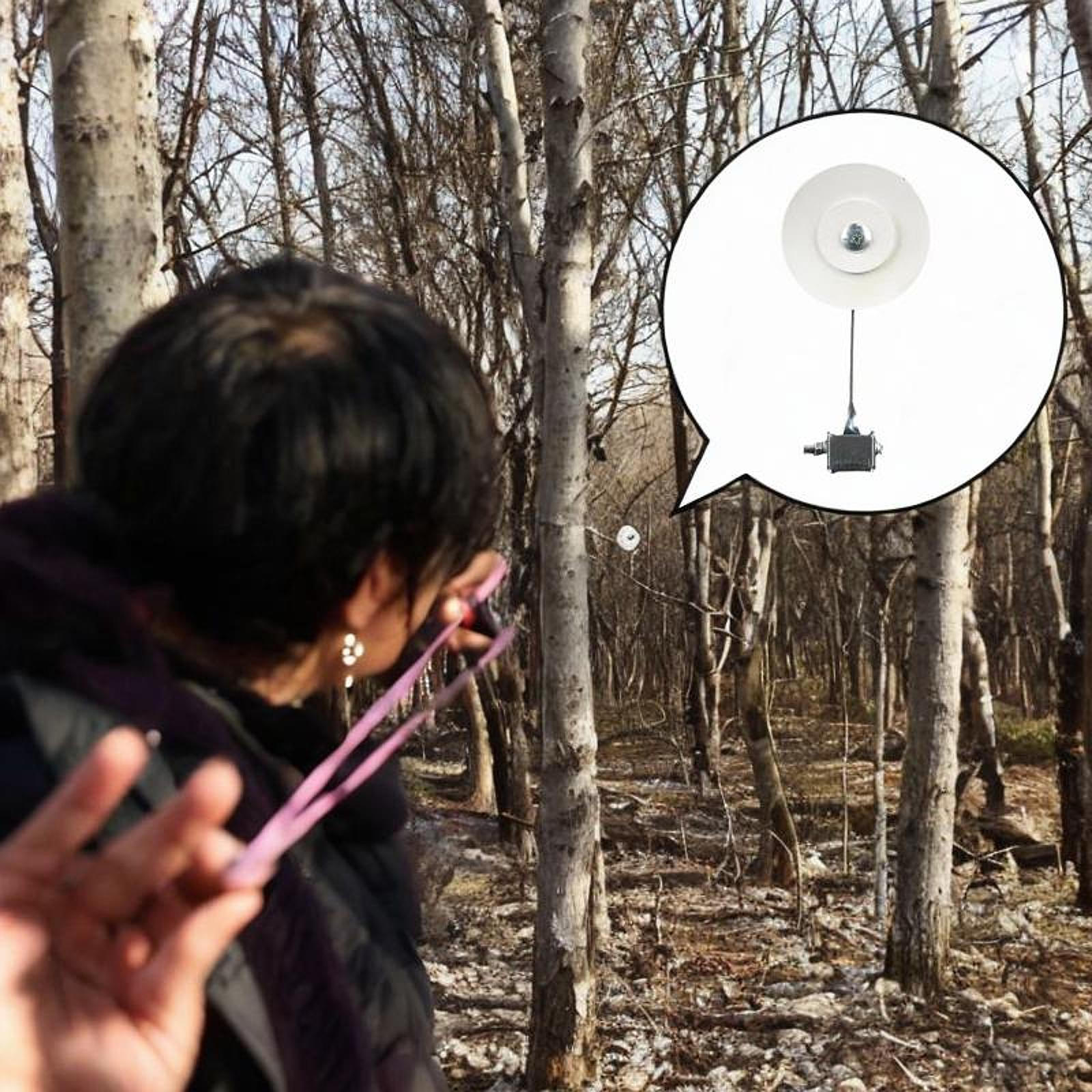 

Training Target Compact Outdoor Professional Sturdy
