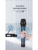 Wireless Professional Microphone Set with Anti-Howling for Karaoke, Meetings, and Performances