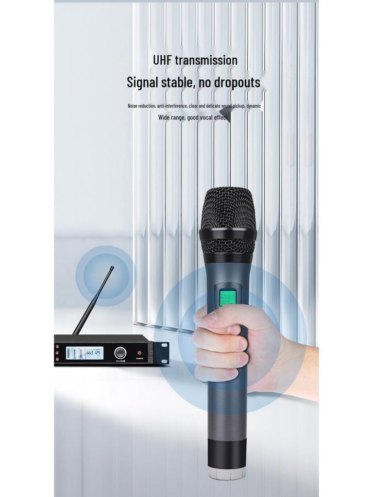 Wireless Professional Microphone Set with Anti-Howling for Karaoke, Meetings, and Performances