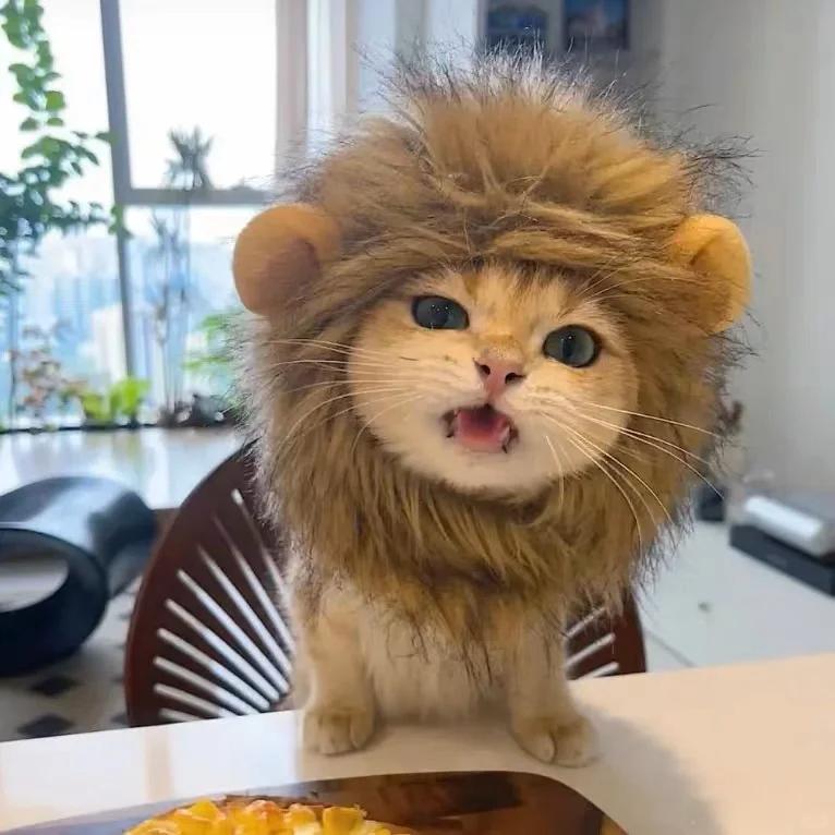 Cute Pet Hairpieces, Cats & Dogs Funny Lion Headwear Suitable For Clothing Styling Party And Fun Outfits.