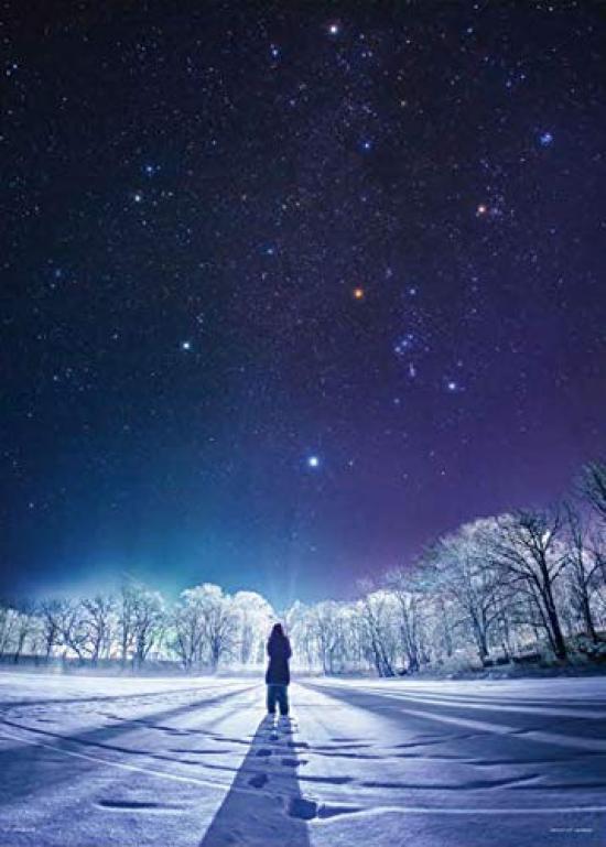 

KAGAYA Winter Diamond 500-Piece Jigsaw Puzzle (38x53cm)