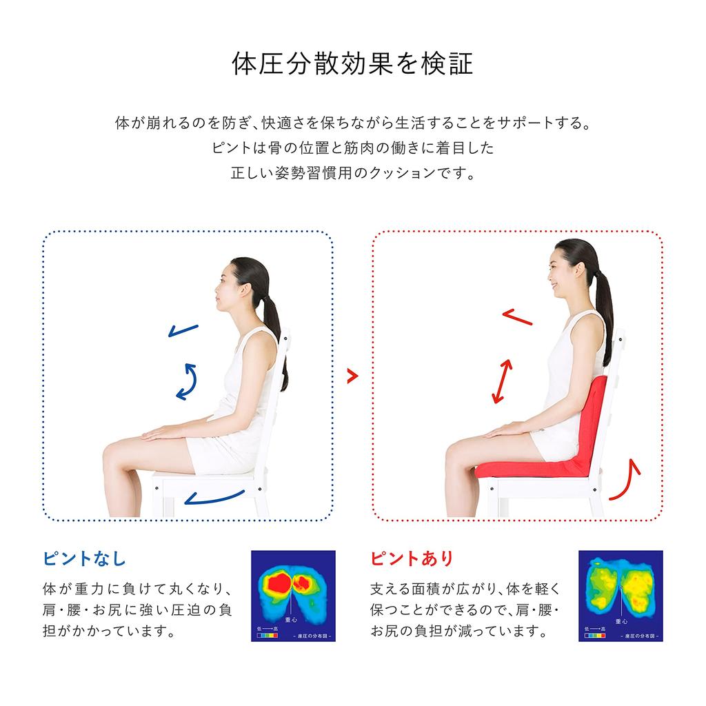 Correct Posture Habit Cushion Cushion Pinto P!nto [Genuine Product] (pinto) [black]