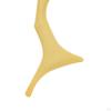 Eyebrow Shaping Tool From , Stencil, Multipurpose Makeup for Beginners