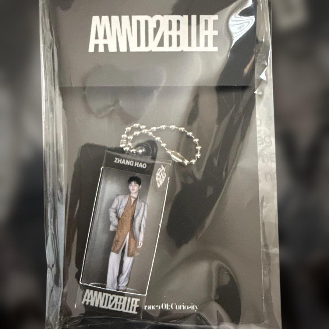 [USED] and2ble Zhang Hao Keyring Popup