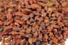 Rokitnik Owoc Suszony 1Kg Naturalne Witaminy