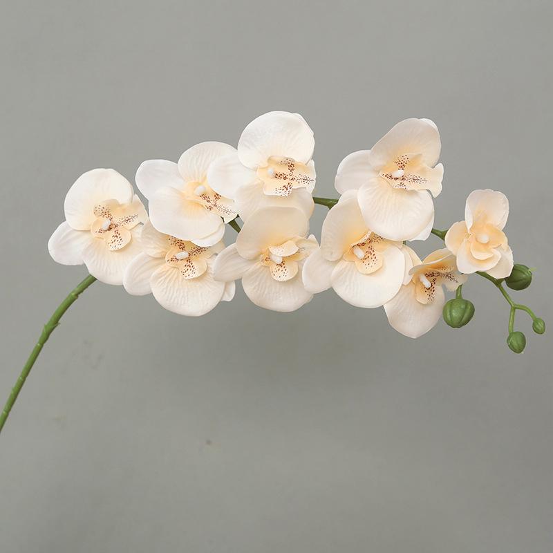 69Cm 3D New Artificial Phalaenopsis Flower Branches Real Touch Faux Butterfly Orchid Stems Floral Arrangement Wedding Home Decor
