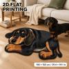 3D Animals Floor Mat, Home Bathroom Floor Mat, Quick-Drying Water Absorbing Foot Mat, Easy-to-Clean Bath Mat