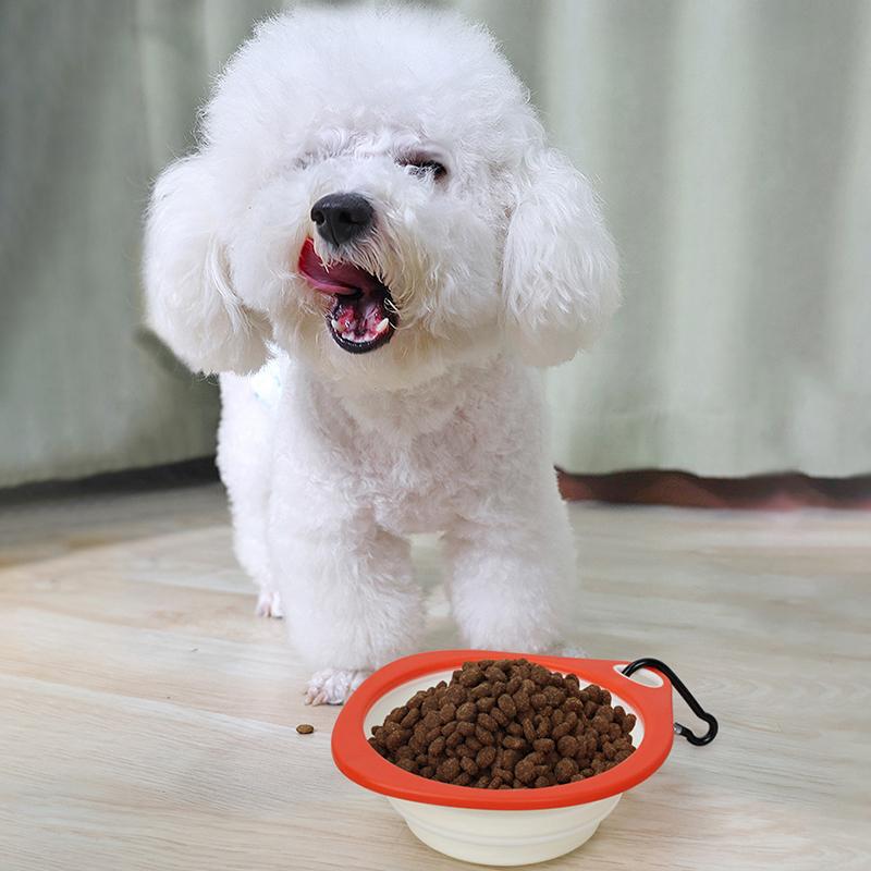 Collapsible Dog Bowl Silicone Dog Food Container Health And Safety Pet Travel Drinking Bowl Feeding Plate