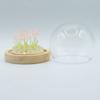 Floral Glow Garden Dome – 10 Pink Roses – LED USB