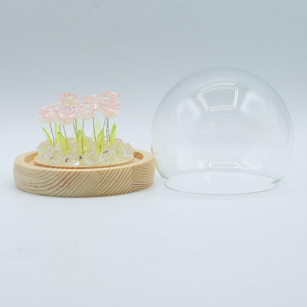 Floral Glow Garden Dome – 10 Pink Roses – LED USB