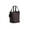 Coach Hanna 18 Marke Logo Magnetischer Druckknopf Abnehmbare Eimer Tasche Damen Umhängetasche Gold Braun Schwarz CR256-IMAA8