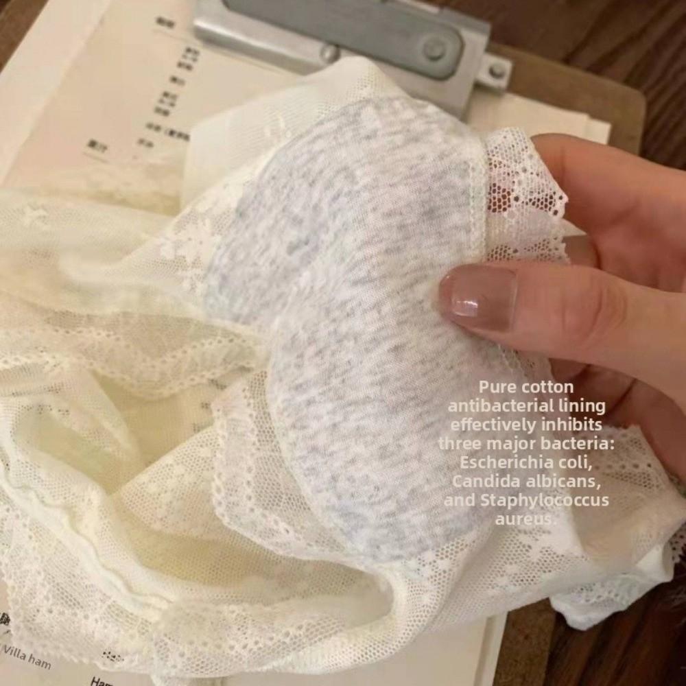 Mid Waist Lace Panties Briefs Mesh Lace Briefs Breathable Underwear for Women  Female Lingerie