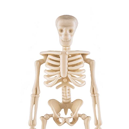 10 Pcs Mini Skeleton Figurine Decoration 6" Posable Human Bone Statue Plastic Skull Prop for Halloween Home Haunted House Party Favors