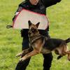 Dog Bite Sleeve Equipment Abrasion Resistant Arm Sleeve Canine Protection for Dog Training Sessions