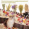 Sukh Natural Hamster Bedding Sprays - Foraging Habitat Decor Cage Accessories, Hideout Enrichment for Dwarf & Syrian Hamsters, Gerbils, Mice and