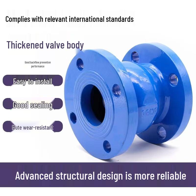 Flange Silencing Check Valve