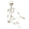Halloween Resin Full Body Skeletons with Movable Joints for Home Costume Party Decoration PropsM