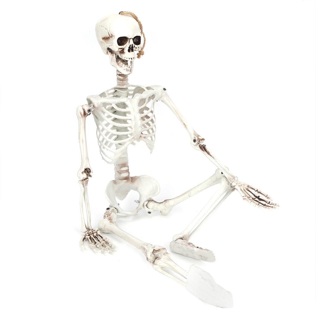Halloween Resin Full Body Skeletons with Movable Joints for Home Costume Party Decoration PropsM