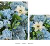 Geometric Iron Art Wedding Flower Ornaments for Event Decoration