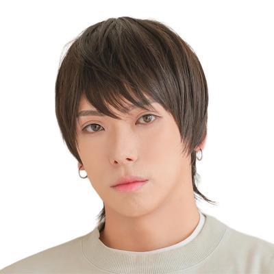 AQUADOLL Wolf Perücke, Kurz, Herren, Koreanischer Stil, Street Style, Gestuft, Vollperücke, Einheitsgröße, B2 Rauchbraun, wg355B2