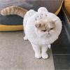 Anti-Bite Plush Surgery Wound Collar Elizabeth Collar Cat Recovery Collar Neck Protective Cone
