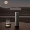 Shangqi Portable Tea Infuser Bottle