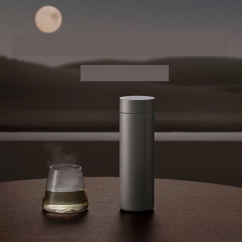 Shangqi Portable Tea Infuser Bottle