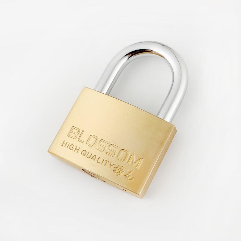 BLOSSOM Brass Padlock