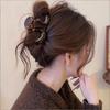 Charm Hair Clips Shark Clips Hair Fixation Clips Half-braided Hair Clips Lady's Popular 1PC Braided