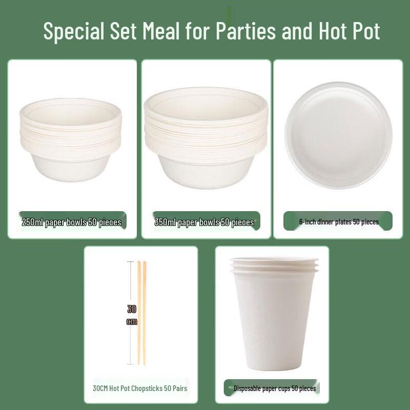 ZISIZ Disposable Sugarcane Pulp Bowl & Chopsticks Set