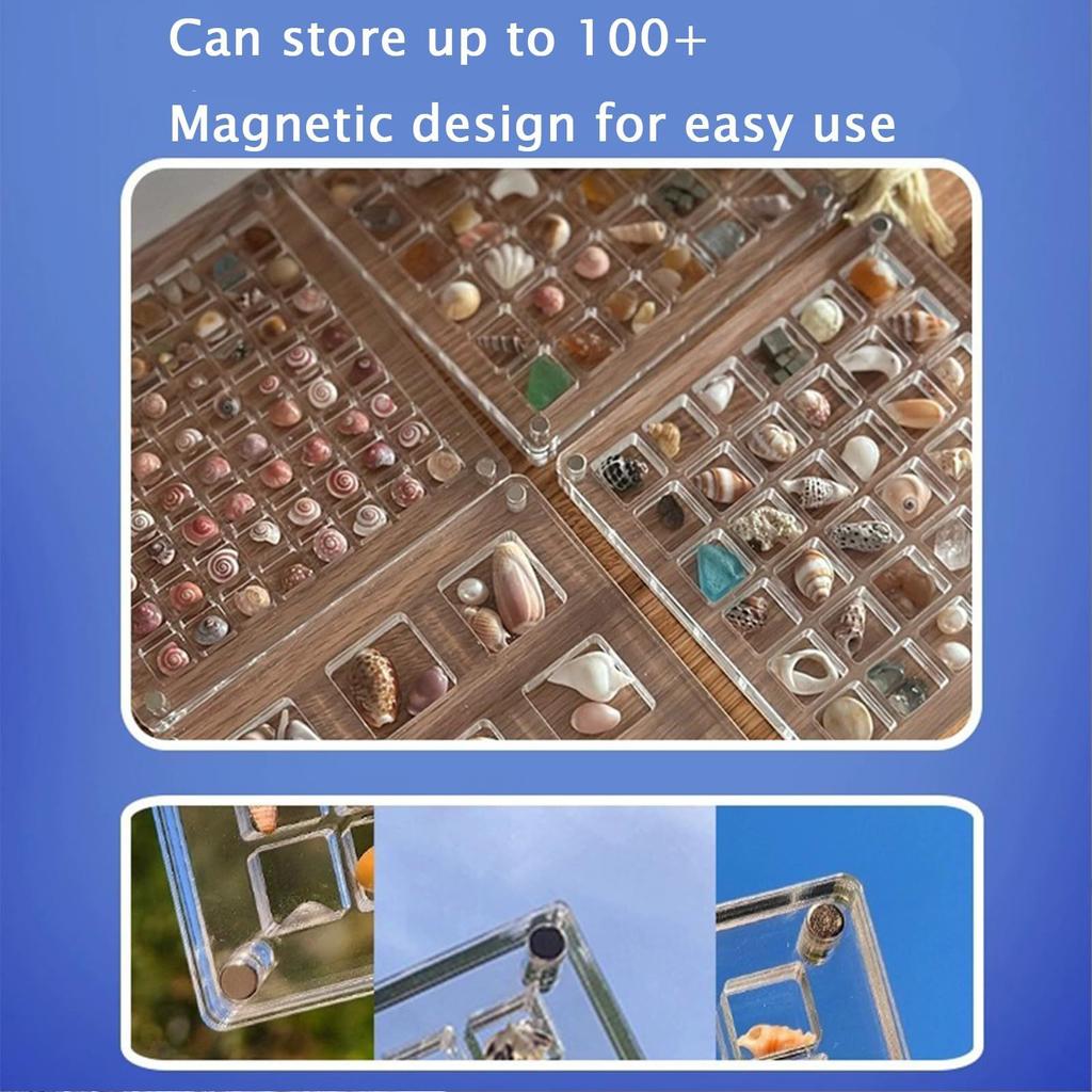 Transparent Magnetic Seashell Display Case Stylish DIY Small Craft Organisers For Workshops