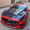 Ford Mustang Dark Horse S650 Carbon Fiber Hood Body Kit - 2nd Gen Style