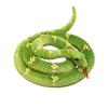 Realistic Plush Snake Toy - Soft Fake Snake for Pranks, Gifts and Halloween Decorations