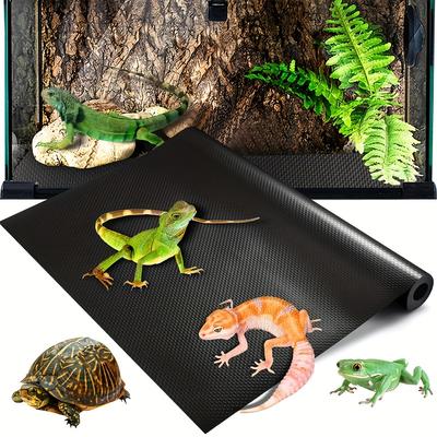 Reptile – Terarii pentru reptile