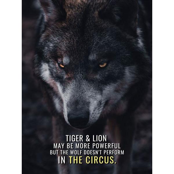 DIY 5D Diamond Painting Ruthless Lion Diamond Mosaic Cross Stitch Kits Home Decoration Full Round Diamond Embroidery