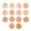 14 Pcs Milestone Cards Round Wooden for Monthly Recording Disc Door Hanger