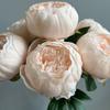 7 Heads Artificial Peony Bouquet Core-spun Simulation Flowers New Fake Flower  Gifts