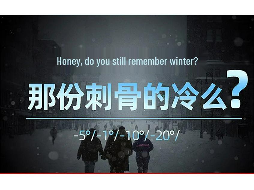 Men's Fleece-Lined Hooded Casual Jacket - 2025 Autumn/Winter Collection