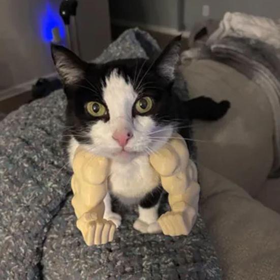 2Pcs Cat Muscular Arm Costume Cat Neck Arm with Muscle 3D Printed Superhero Cosplay Pet Spoof Toy Funny Cat Photo Prop Accessory