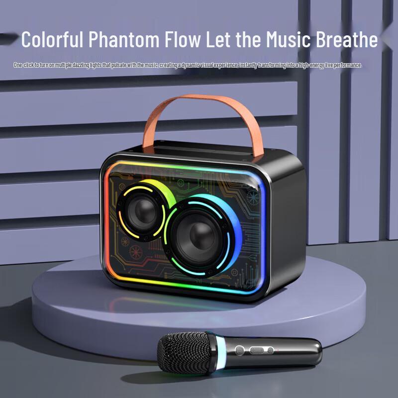 Newsmy KTV Microphone & Bluetooth Speaker System