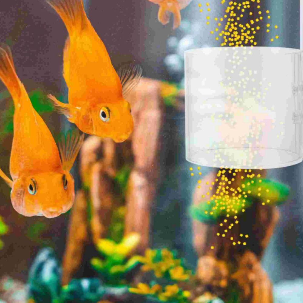 Hanging Aquarium Feeding Ring 6/8cm Aquarium Suction Cup Feeder Suspensible Fish Feeder  Aquarium