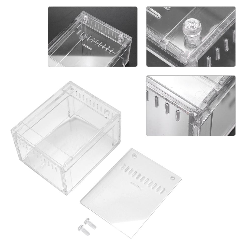 Acrylic Transparent Flameer Reptiles Insect Tank Breeding Box Pets Snakes Turtles Terrarium