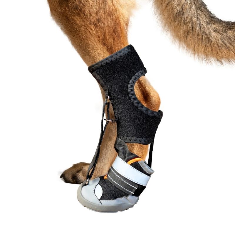 Fashion Dog Shoe Recovery Boot Waterproof Pet Shoe Snow Rain Dog Recovery Boot For Daily Walks