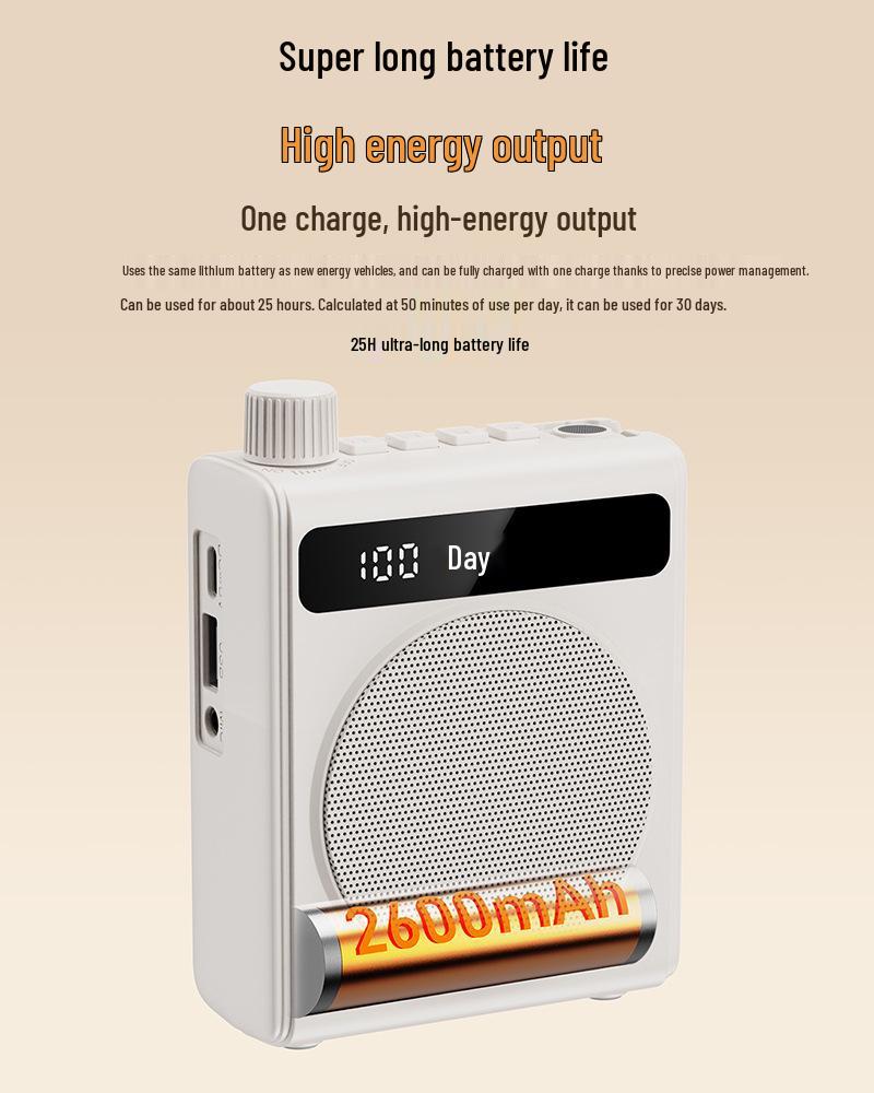 Portable Teacher-Specific Wireless Bluetooth Megaphone & Microphone