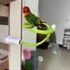 Linen Rope DIY Bendable Perch for Birds Comfortable Grip Parrot Standing Perch Stand  Indoor
