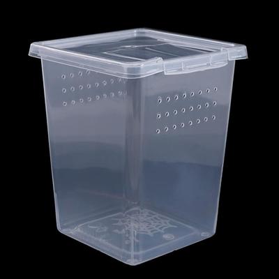 Plastic Transparent for Scorpion Spider Ants Household Insect Feeding Box Lizard Living Box Hatching Tank Reptile Habitat