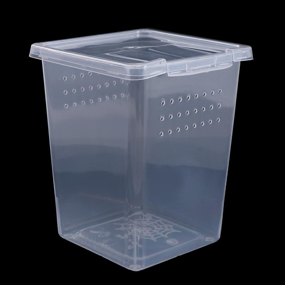 Accessories Household for Scorpion Spider Ants Transparent Hatching Tank Insect Feeding Box Reptile Habitat Lizard Living Box
