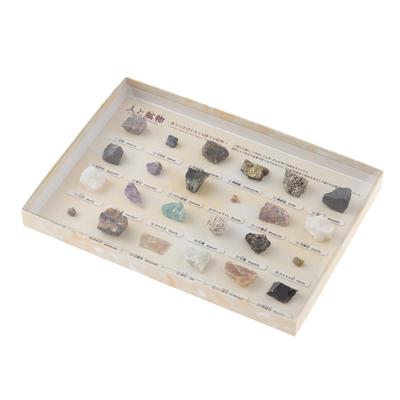 Oherikosha Specimen Humans and Minerals Book-type Set